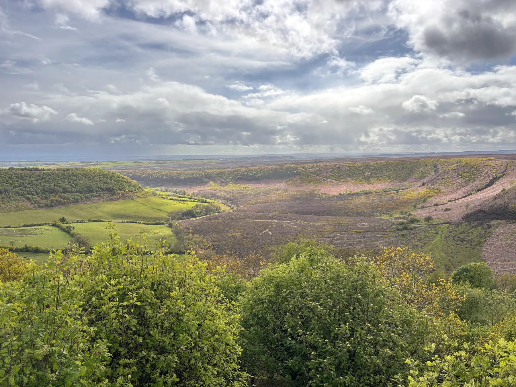 Open heather moorland and big skies across the North York Moors